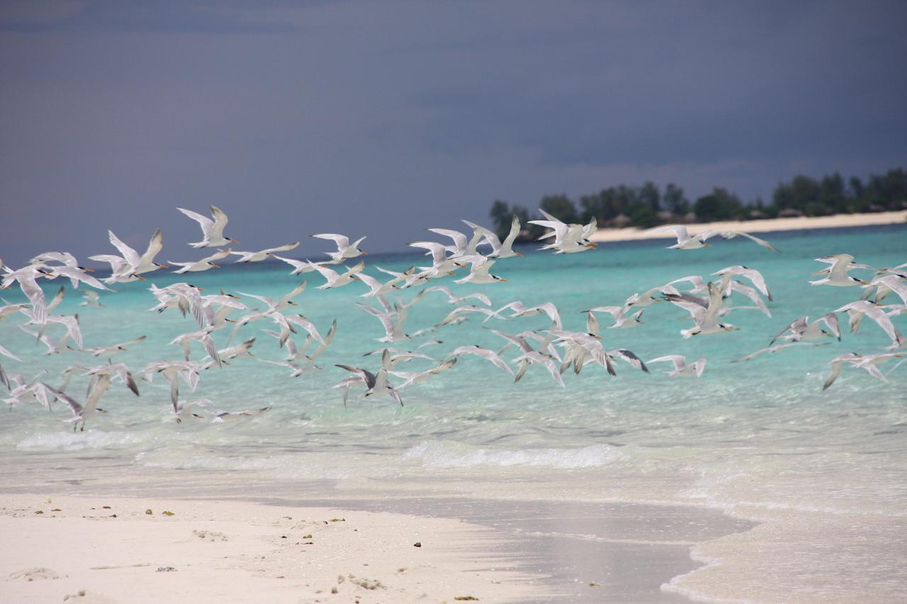 Chapwani Private Island Grave Island Exterior foto